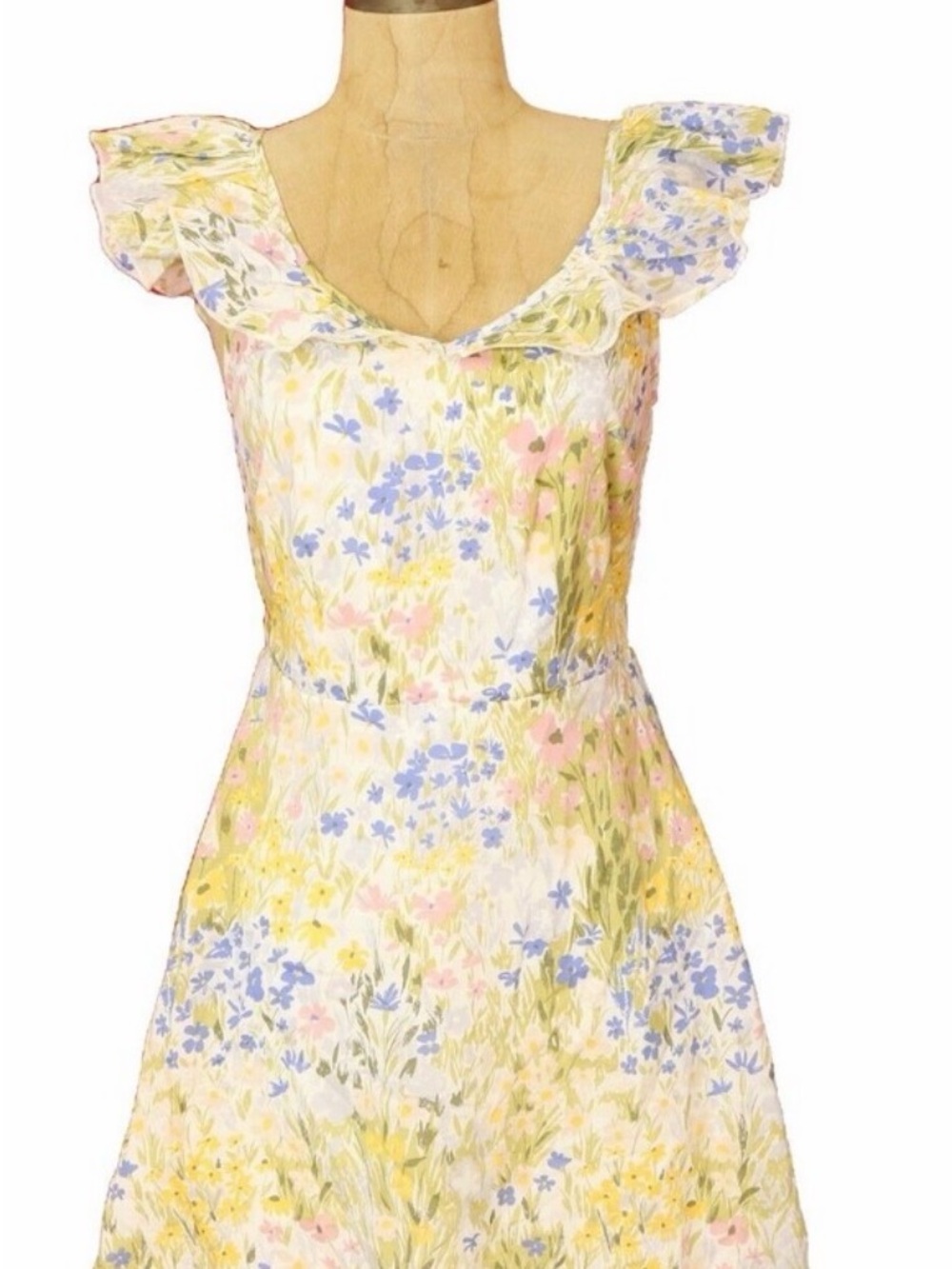 Wildfox Blair Deep V Ruffle Painted Flower Mini Dress Size Small